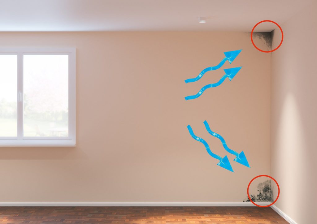 Lüftungssysteme 3 Schimmelbildung im Wohnraum.